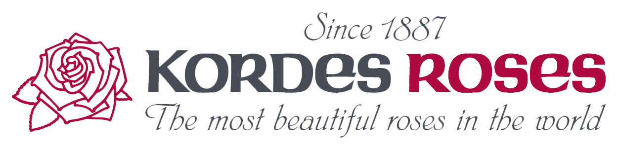 Kordes_Roses